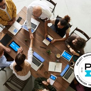 Project Management Professional (PMP®)